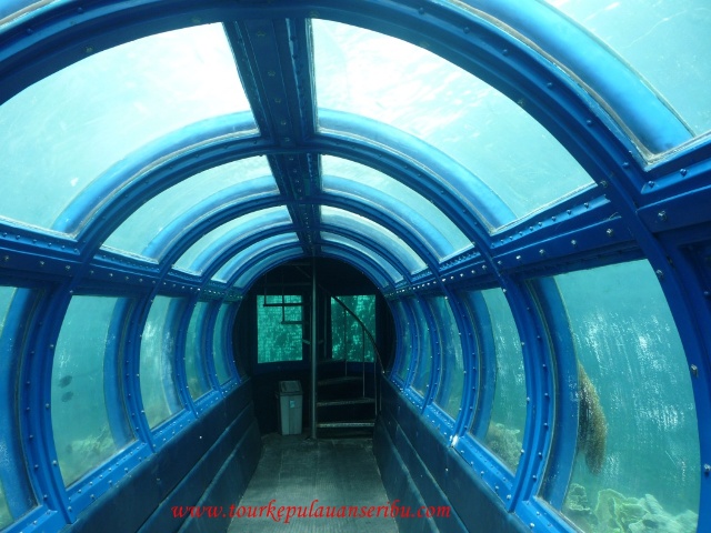 Undersea Aquarium